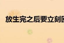 放生完之后要立刻回家吗（放生完整歌词）