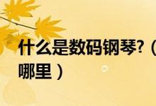 什么是数码钢琴?（数码钢琴和钢琴的区别在哪里）