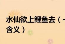 水仙欲上鲤鱼去（一夜芙蓉红泪多 出处 意思 含义）