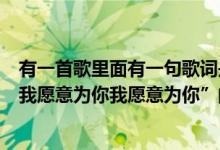 有一首歌里面有一句歌词是我愿意为你（歌词里面有一句“我愿意为你我愿意为你”的歌是什么）