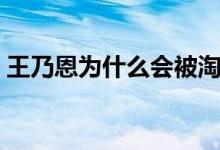 王乃恩为什么会被淘汰（王乃恩为什么输了）
