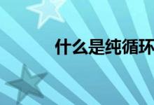 什么是纯循环小数（举例说明）