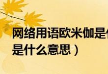 网络用语欧米伽是什么意思（网络用语OMG是什么意思）