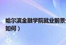 哈尔滨金融学院就业前景分析（哈尔滨金融学院专科就业率如何）