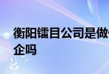 衡阳镭目公司是做什么的 衡阳镭目公司是国企吗 