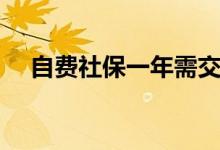自费社保一年需交多少（没有统一标准）