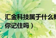 汇金科技属于什么概念（汇金科技市值是多少你记住吗）