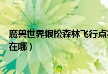 魔兽世界银松森林飞行点在哪里（魔兽世界银松森林飞行点在哪）