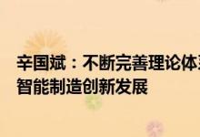 辛国斌：不断完善理论体系、推进体系高水平持续深入推进智能制造创新发展