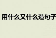 用什么又什么造句子（用什么又什么又组词）