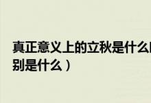 真正意义上的立秋是什么时候（立秋的时间和代表的意思分别是什么）