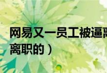 网易又一员工被逼离职（真相曝光其实是主动离职的）
