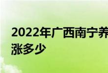 2022年广西南宁养老金调涨有消息吗 预计会涨多少 