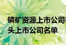 磷矿资源上市公司有哪些2022年磷矿资源龙头上市公司名单