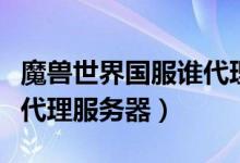 魔兽世界国服谁代理的（能用的魔兽世界北美代理服务器）