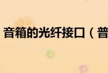 音箱的光纤接口（普通音箱能否接光纤接口）
