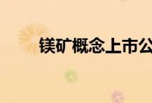 镁矿概念上市公司2021年名单一览