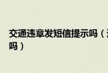 交通违章发短信提示吗（违反交通规则都会有违章短信通知吗）