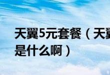 天翼5元套餐（天翼手机里的我的E家套餐费是什么啊）