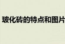 玻化砖的特点和图片（玻化砖的特点有哪些）