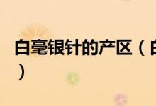 白毫银针的产区（白毫银针是产自于什么地方）