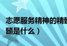 志愿服务精神的精髓是指（志愿服务精神的精髓是什么）