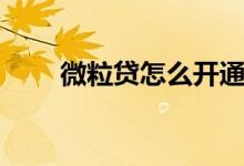 微粒贷怎么开通（怎么开通贷微粒）