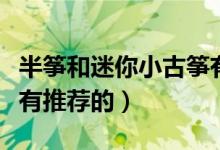 半筝和迷你小古筝有区别吗（好点音色的有没有推荐的）