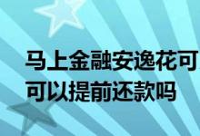 马上金融安逸花可以提额吗 马上金融安逸花可以提前还款吗