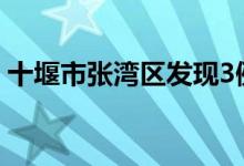 十堰市张湾区发现3例新冠病毒检测阳性人员