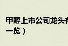 甲醇上市公司龙头有哪些（甲醇上市公司龙头一览）