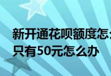 新开通花呗额度怎么50元 首次开通花呗额度只有50元怎么办