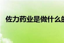 佐力药业是做什么的（其主营业务是什么）