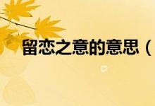 留恋之意的意思（留恋之情是什么意思）