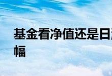 基金看净值还是日涨幅 基金看净值还是日涨幅