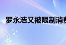 罗永浩又被限制消费（为什么欠这么多钱）
