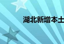 湖北新增本土无症状感染者8例