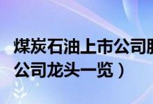 煤炭石油上市公司股票有哪些（煤炭石油上市公司龙头一览）