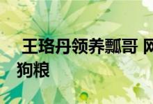  王珞丹领养瓢哥 网友真情劝告她多准备一些狗粮 