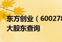 东方创业（600278）股东排名：东方创业十大股东查询
