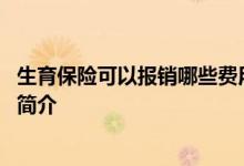 生育保险可以报销哪些费用 产前检查费用生育津贴办理流程简介 