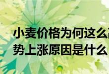 小麦价格为何这么高（2022小麦价格行情走势上涨原因是什么）