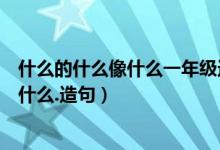 什么的什么像什么一年级造句（一年级：用什么像什么一样什么.造句）