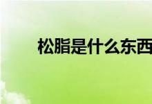 松脂是什么东西图片（松脂是什么）