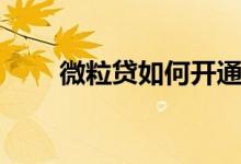 微粒贷如何开通（微粒贷开通条件）