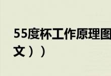 55度杯工作原理图（55度杯是什么原理（图文））