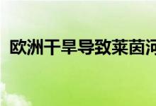 欧洲干旱导致莱茵河水位下降加剧能源危机