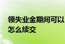 领失业金期间可以自己交社保吗 领完后医保怎么续交 