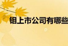 钼上市公司有哪些（钼概念股龙头一览）