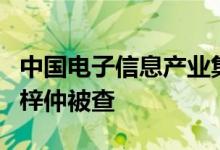 中国电子信息产业集团有限公司原副总经理向梓仲被查